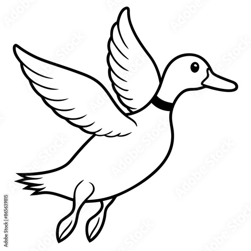 white Duck flying