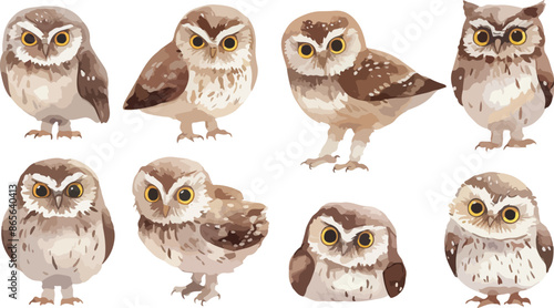 owl watercolor clipart