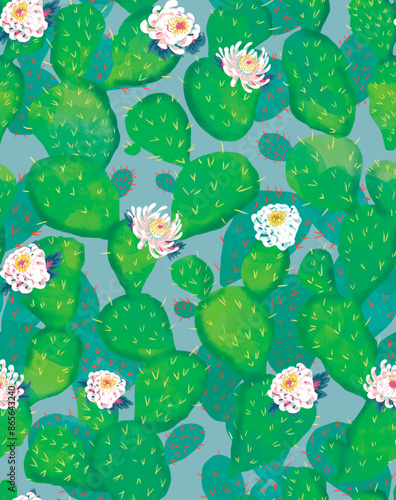 cactus florecido 
