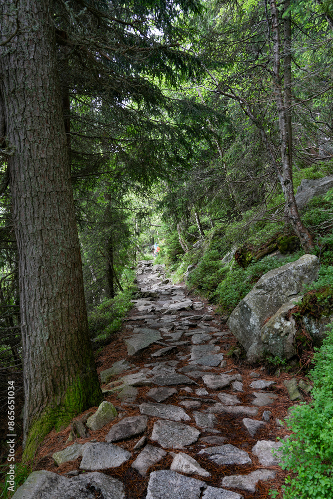 Fototapeta premium Summer landscape of a mountain path in High Tatra Mountains, Slovakia, Europe