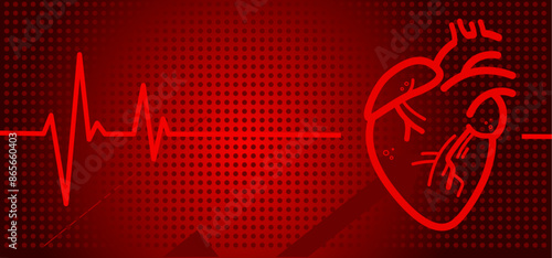 Heart, heart muscle with ekg line, cardiac health - red vector background, banner with free copy space
