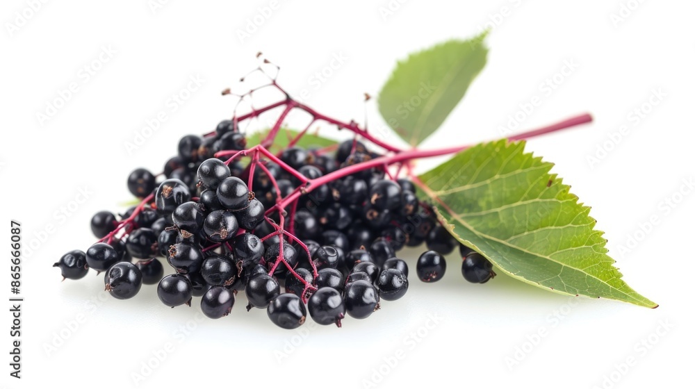 Close-up shot of black berries with green leaves on a white surface Close-up shot of black berries with green leaves on a white surface