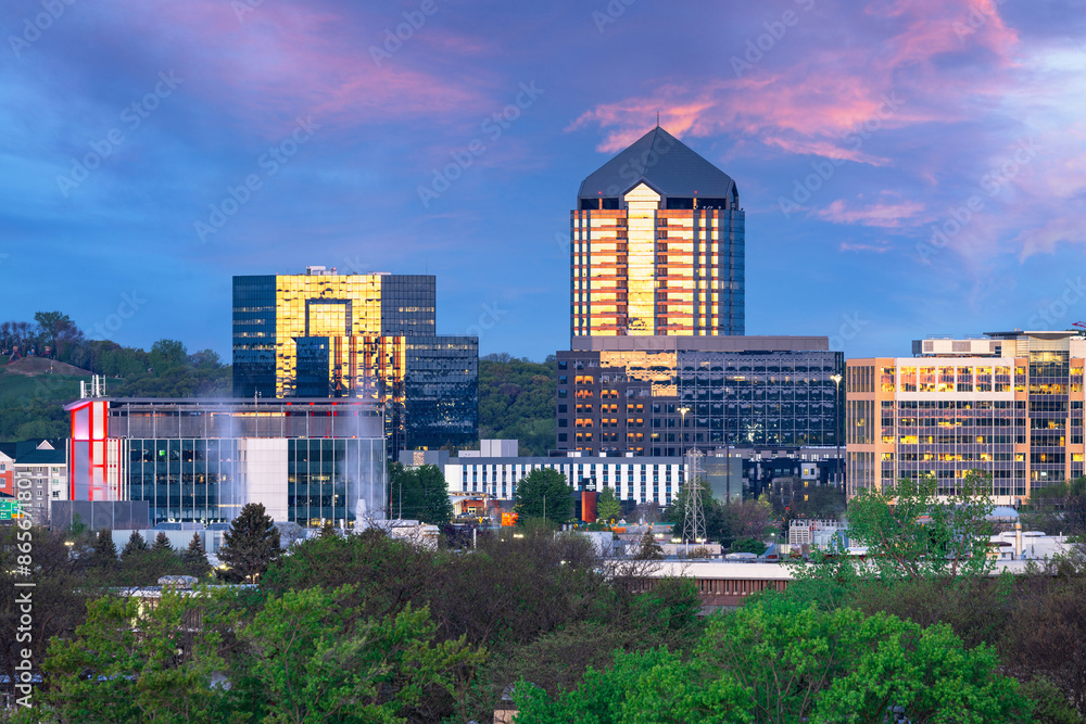 Bloomington, Minnesota, USA Cityscape