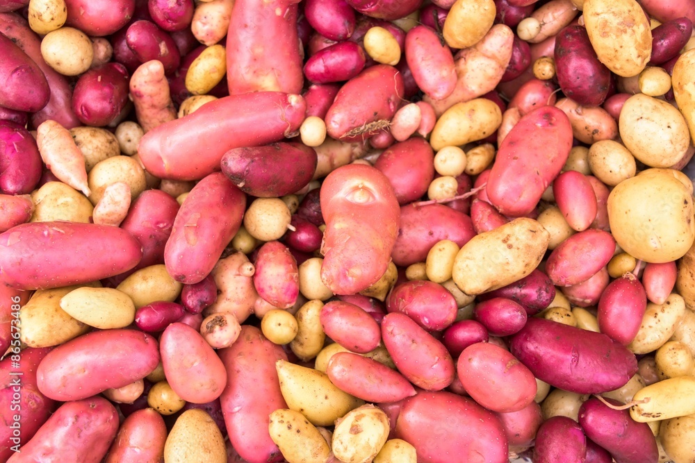 Assorted Organic Small Raw Potatoes on White Background - 4K Ultra HD image Assorted Organic Small Raw Potatoes on White Background - 4K Ultra HD image