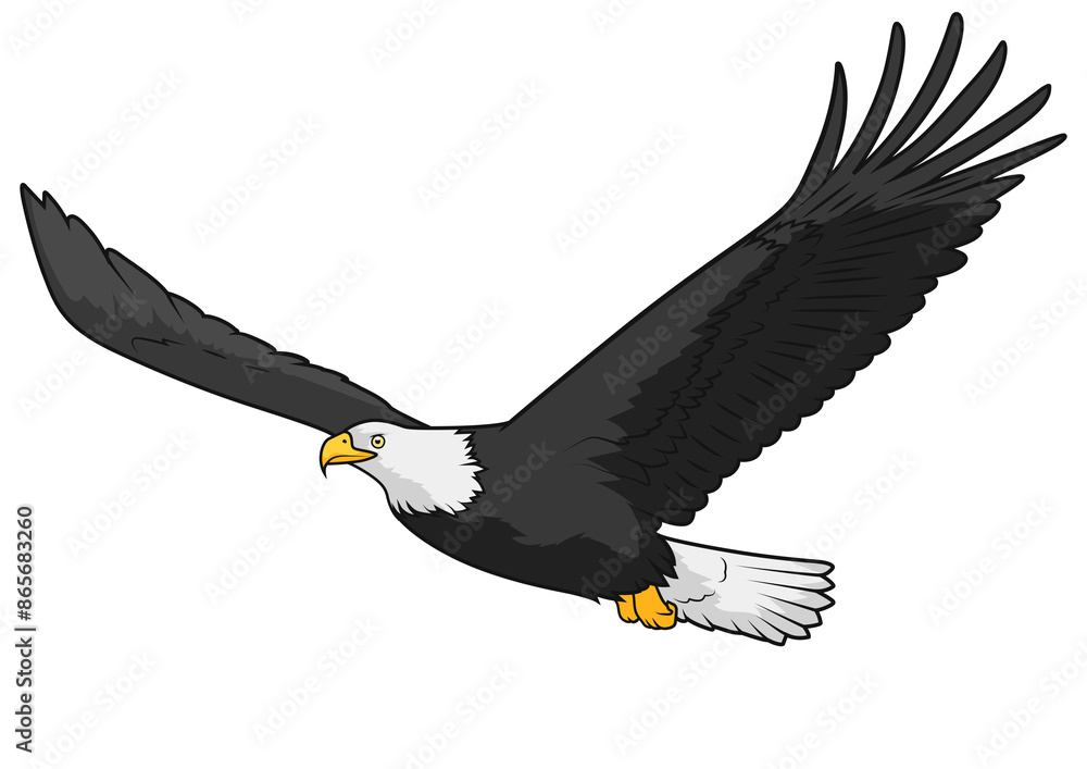 Obraz premium Eagle learn birds educational game PNG illustration