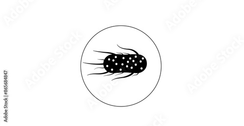 .Salmonella Typhimurium Cells