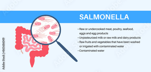 .Salmonella Typhimurium Cells