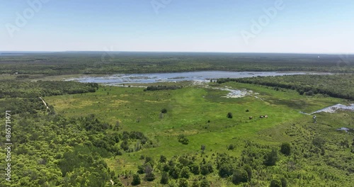 landscape with grass and blue sky