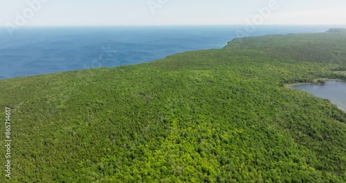 forest on a peninsula 