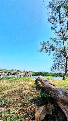 A landscape photo of a beautiful scene with a tree in the foreground