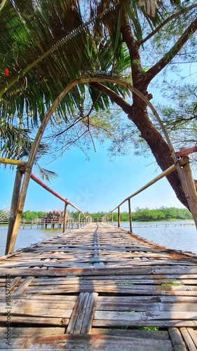 Bridge made of bamboo over the river