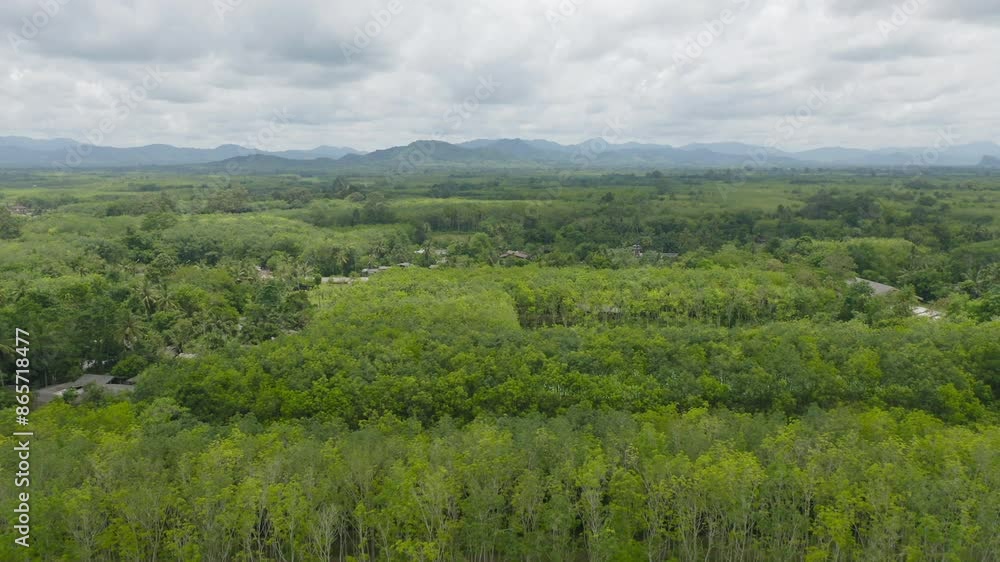 Aerial top view of a garden park with green mangrove forest trees, river, pond or lake. Nature landscape background, Thailand. Aerial top view of a garden park with green mangrove forest trees, river, pond or lake. Nature landscape background, Thailand.