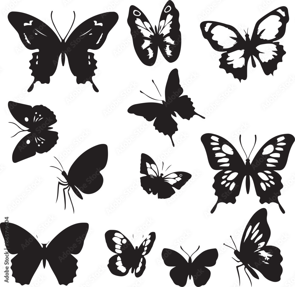 butterfly Set on white background butterfly Set on white background