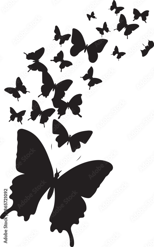 butterfly on a white background butterfly on a white background