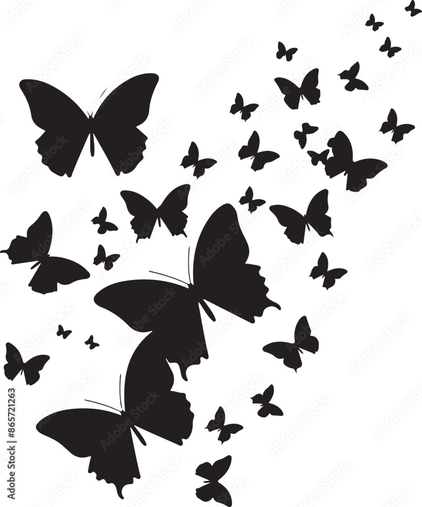 butterfly on a white background butterfly on a white background