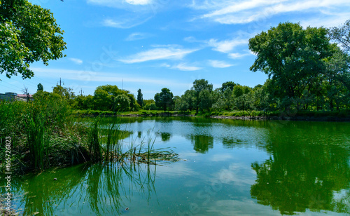 Green lake reflecting the trees on its bank on a sunny day