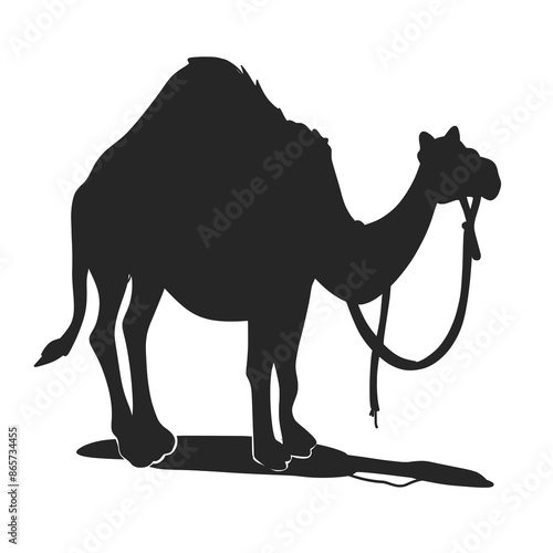 Cartoon Vector Silhouette of a Dromedary