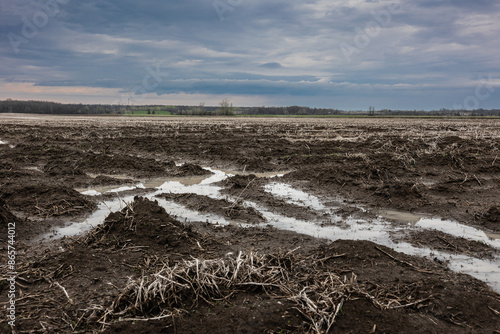 A muddy field with a puddle in the center surrounded by grass