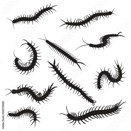 Centipede Vector Art Silhouette Bundle