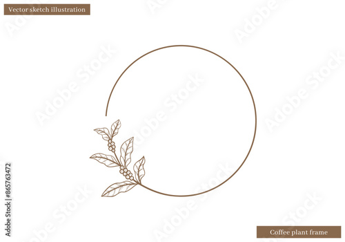 circle frame decorative with coffee plant leaves border vector sketch hand drawn illustration vector