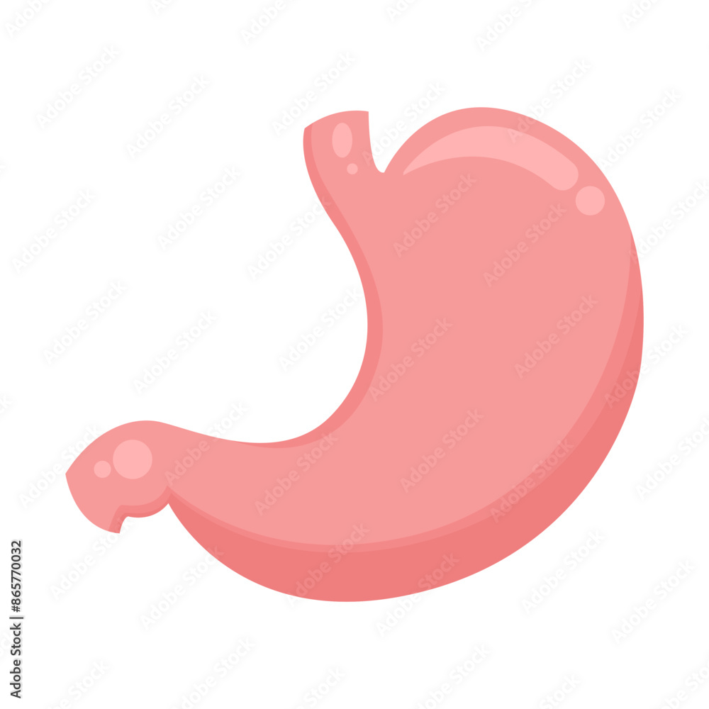 Human stomach organ vector illustration graphic icon symbol Human stomach organ vector illustration graphic icon symbol