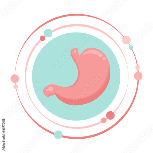 Human stomach organ vector illustration graphic icon symbol