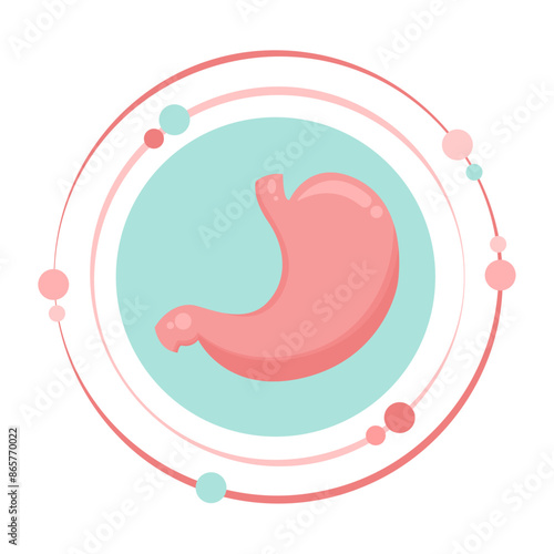 Human stomach organ vector illustration graphic icon symbol