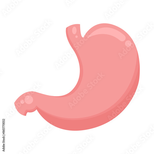 Human stomach organ vector illustration graphic icon symbol