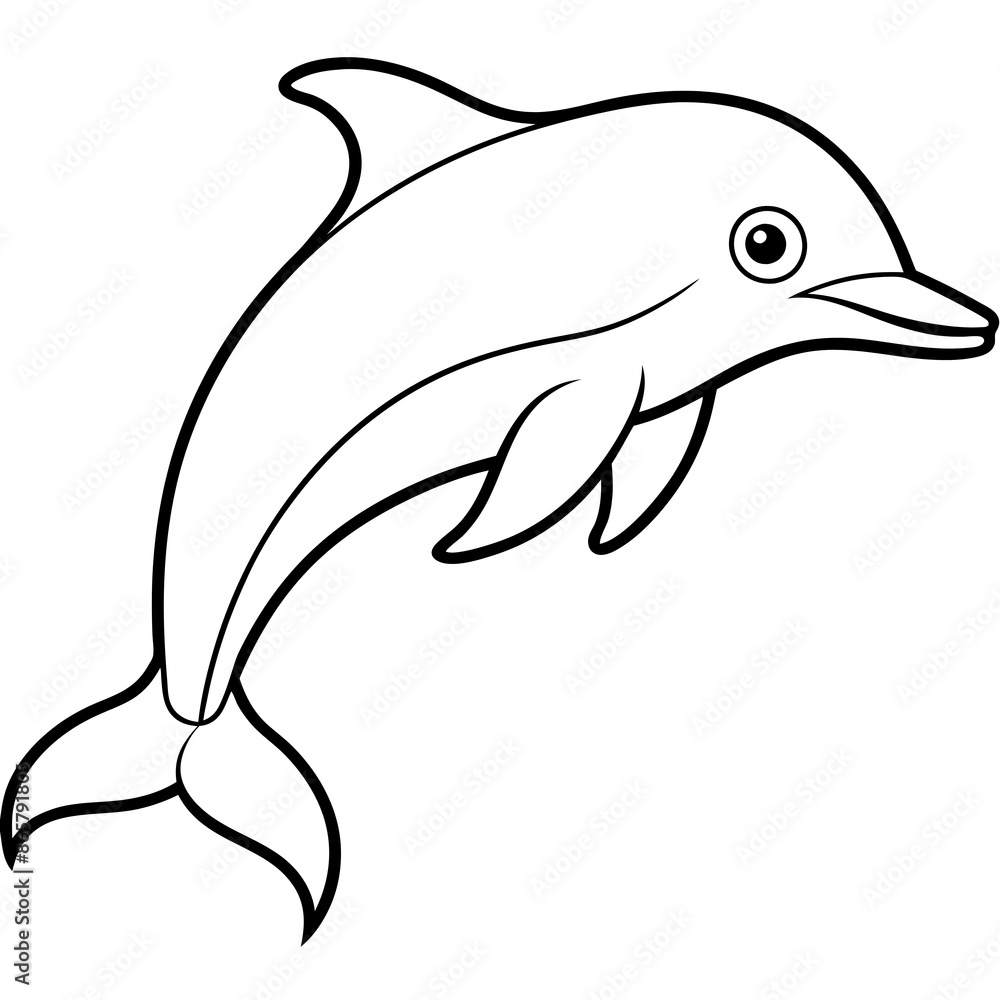 Fototapeta premium dolphin illustration