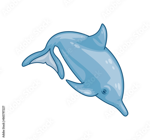 dolphin animal cute cartoon