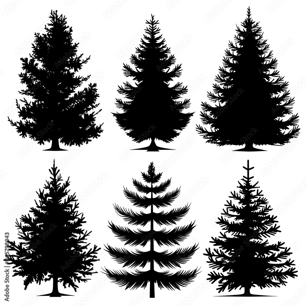 Obraz premium pine tree silhouette set, black on white background. Pine trees collection 