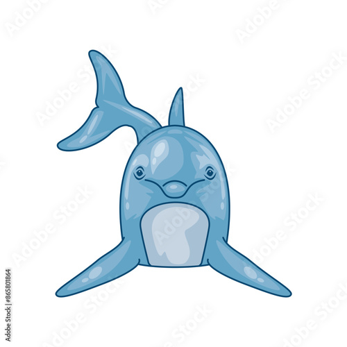 dolphin animal front view