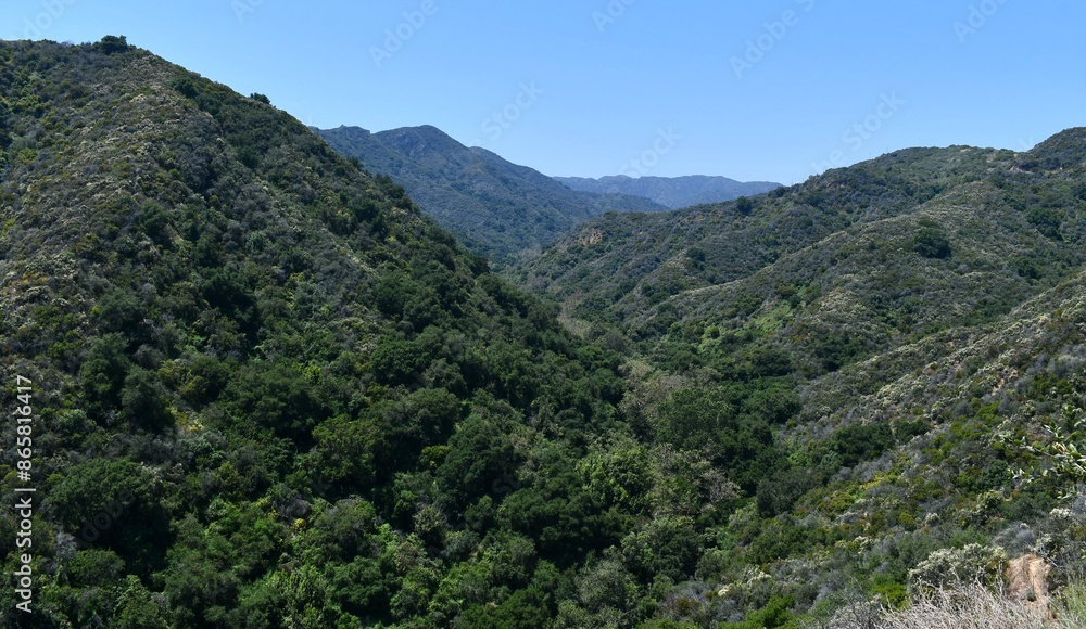 Mountains in California park Mountains in California park