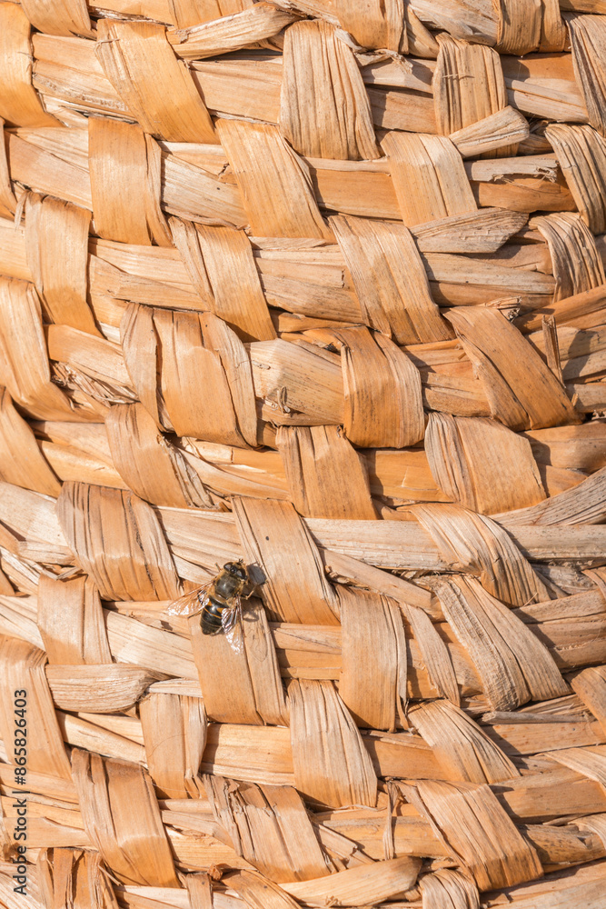 Obraz premium Bulrush basket closeup with bee.