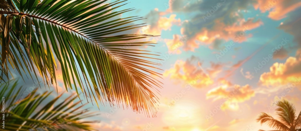 Green coconut tree fronds with palm tree leaves under vibrant sunset sky, a picturesque summer view with empty space for text Green coconut tree fronds with palm tree leaves under vibrant sunset sky, a picturesque summer view with empty space for text