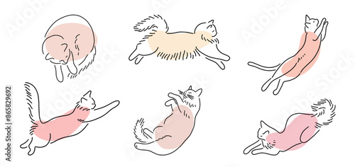 Vector collection of cute cats hand-drawn with a doodle-style line