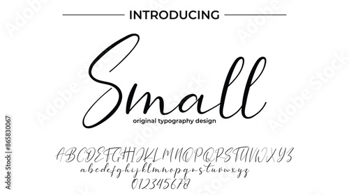 Small Font Stylish brush painted an uppercase vector letters, alphabet, typeface