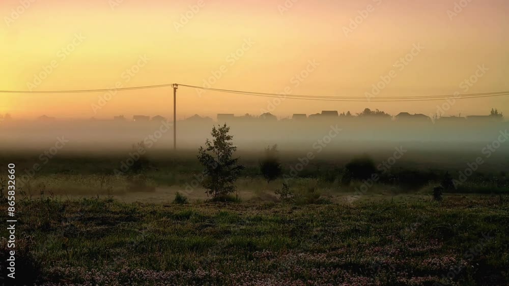 Morning dawn in a field with fog Morning dawn in a field with fog