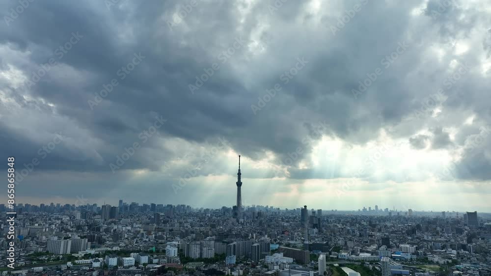 東京の風景 空撮 東京の風景 空撮