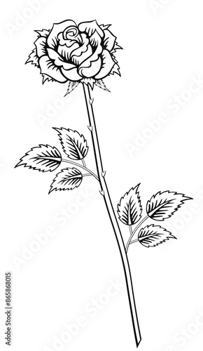 classic rose tattoo with long tall stem leaves thorns outline transparent background