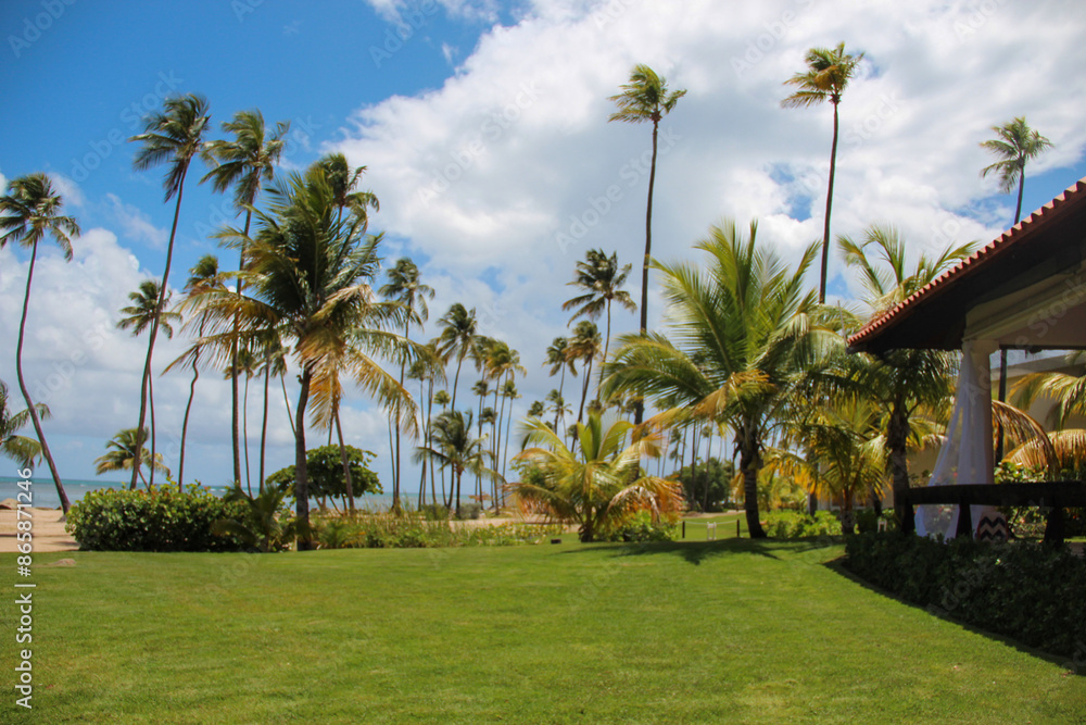 tropical resort with trees tropical resort with trees