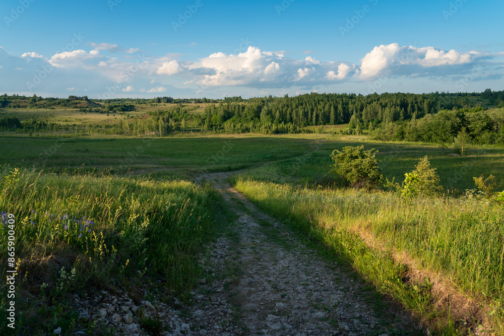 Obraz premium View of the country road through the Izborsko-Malskaya valley on a sunny summer morning, Izborsk, Pechersk district, Pskov region, Russia