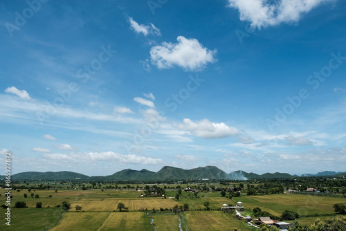 Green rice field with mountain and blue sky background.