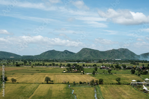 Green rice field with mountain and blue sky background.