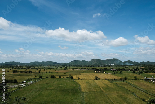 Green rice field with mountain and blue sky background.