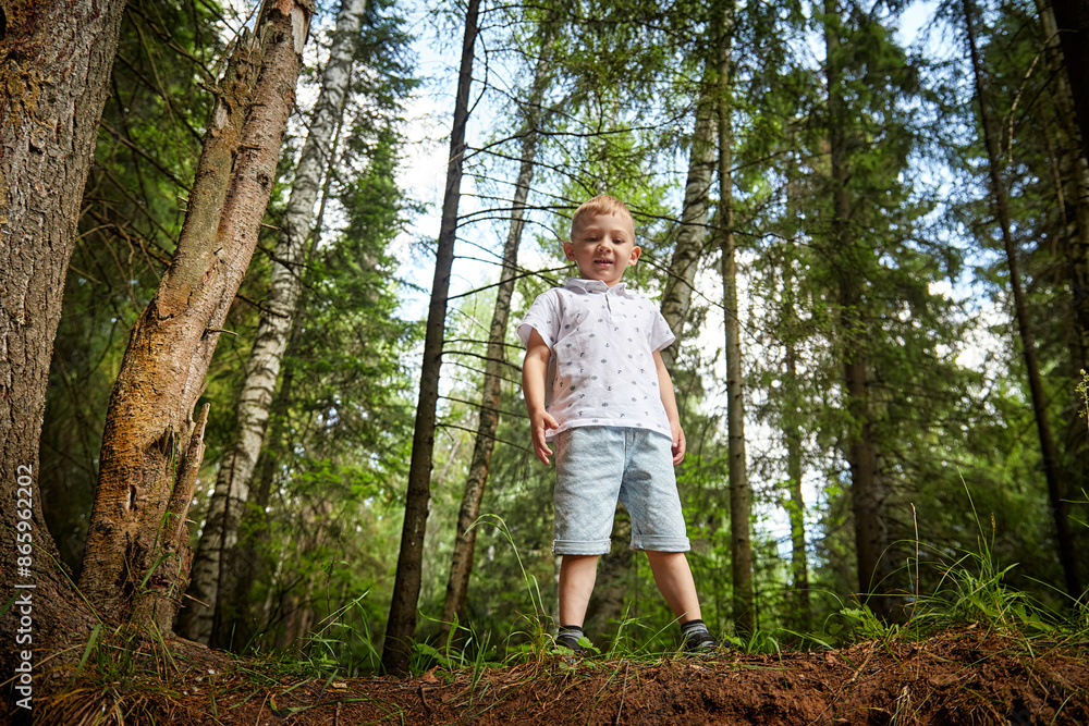 Young Boy in Sunlit Forest. Cute child bathed in dappled sunlight among trees. Walk, rest, nature Young Boy in Sunlit Forest. Cute child bathed in dappled sunlight among trees. Walk, rest, nature