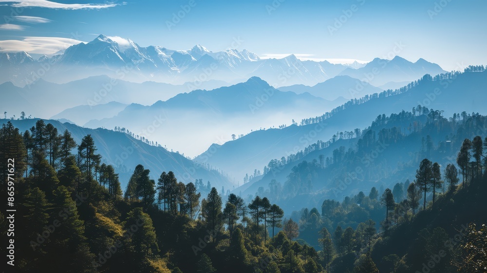 Hazy mountains with trees in the foreground Hazy mountains with trees in the foreground