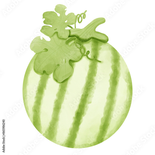 Summer season element melon illustration