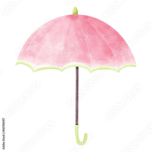 Summer season element melon illustration