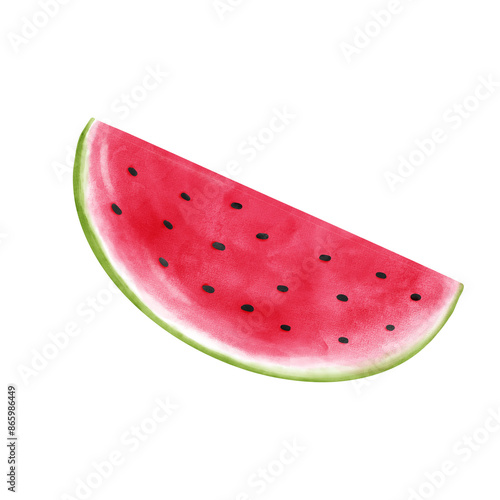 Summer season element melon illustration